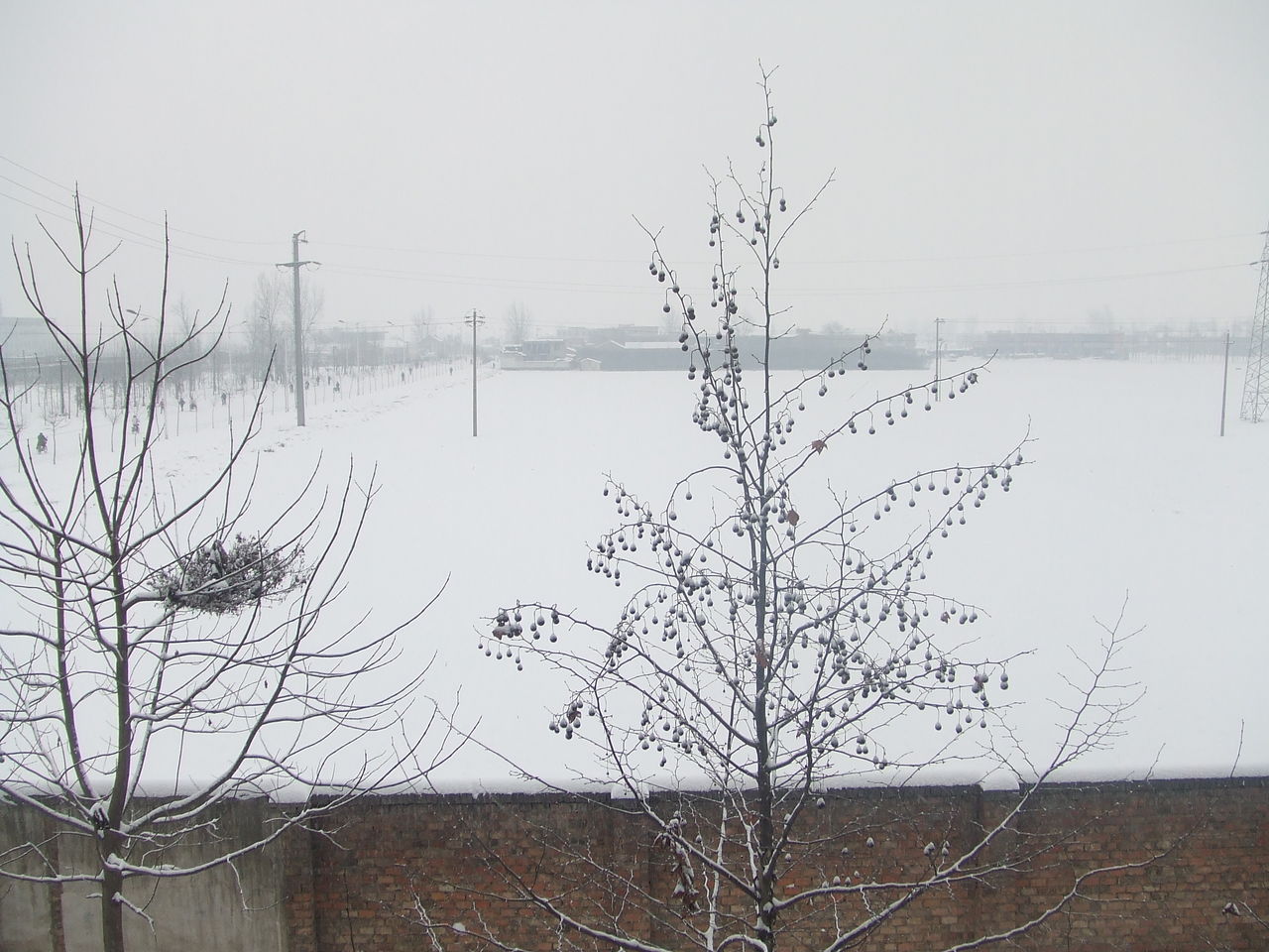 下雪